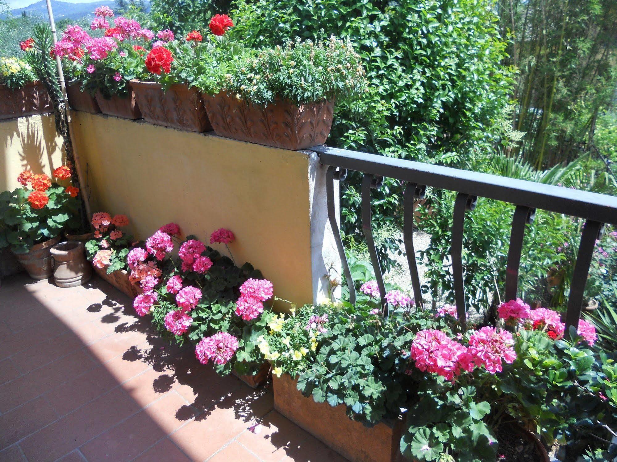 Agriturismo Le Macine Florença Exterior foto